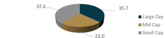 Market Cap Classification Chart